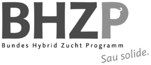 BHZP Logo