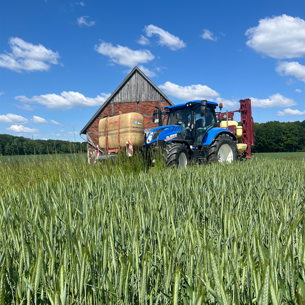 Eine New-Holland-Landmaschine im Triticalefeld
