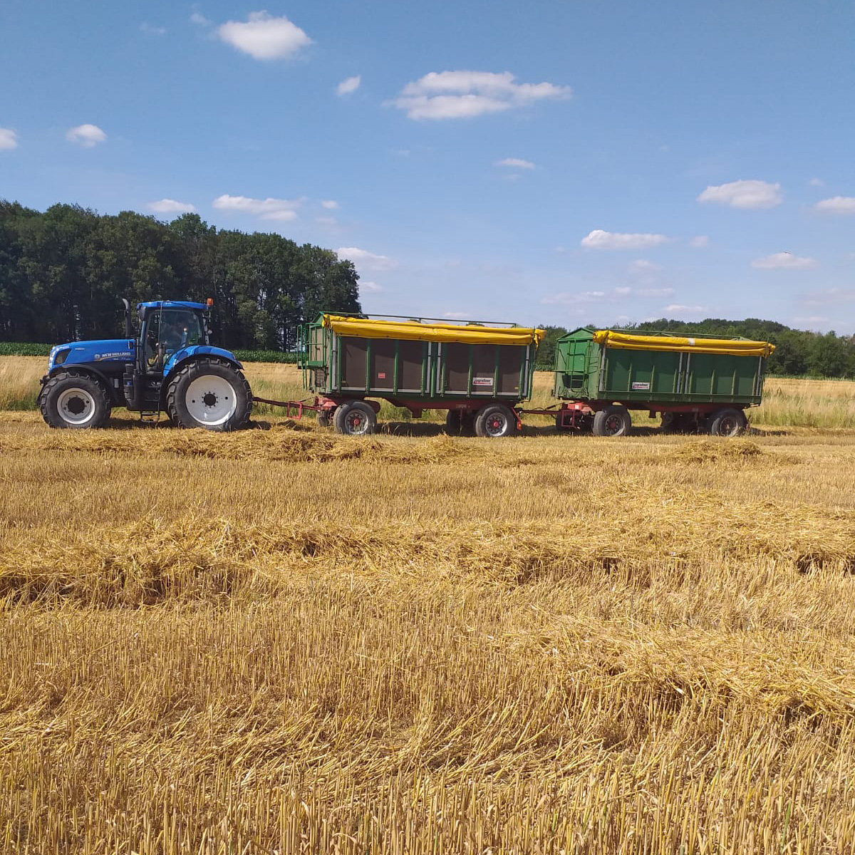Finkenbrink_Ackerbau_Triticale_Gerste_01