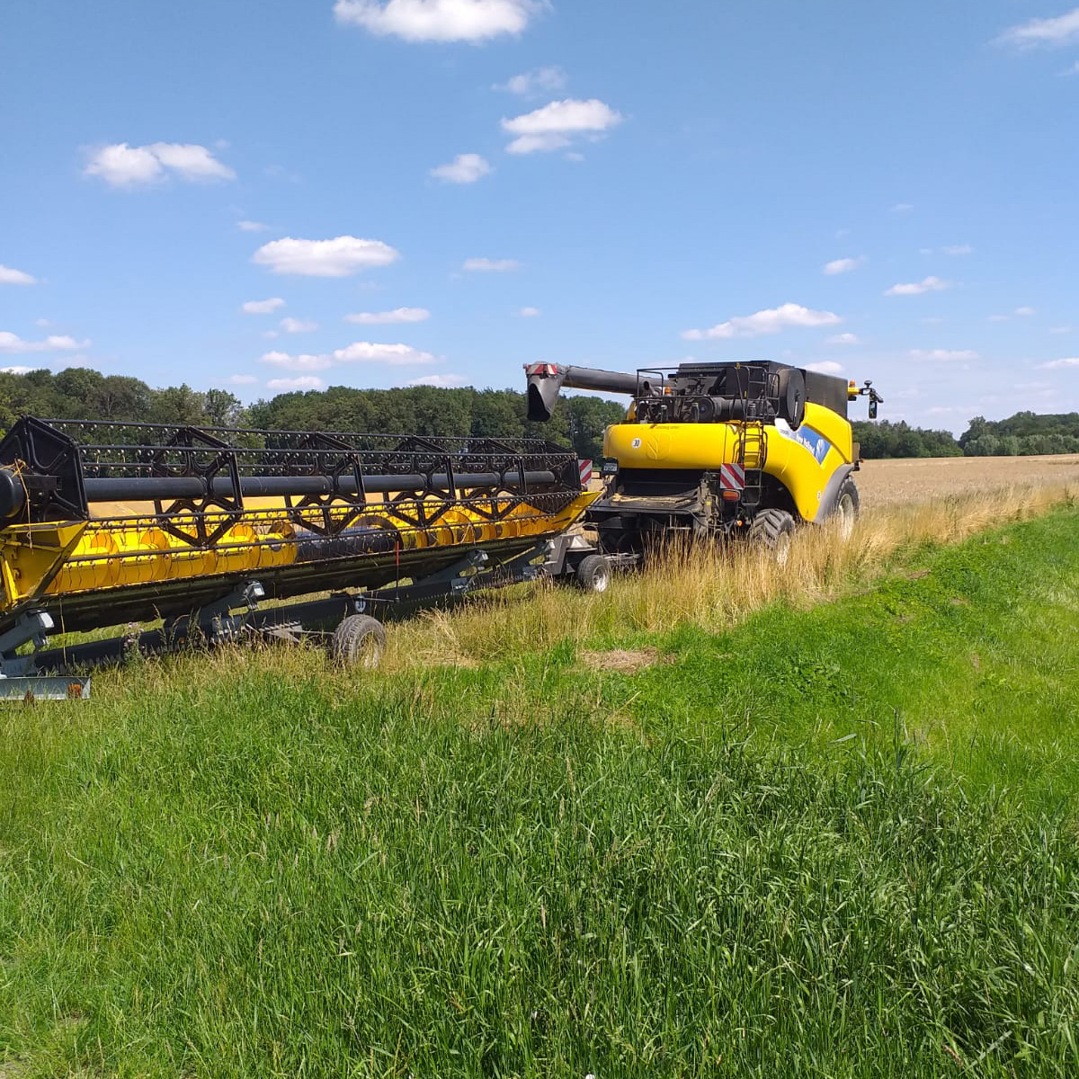 Finkenbrink_Ackerbau_Triticale_Gerste_01