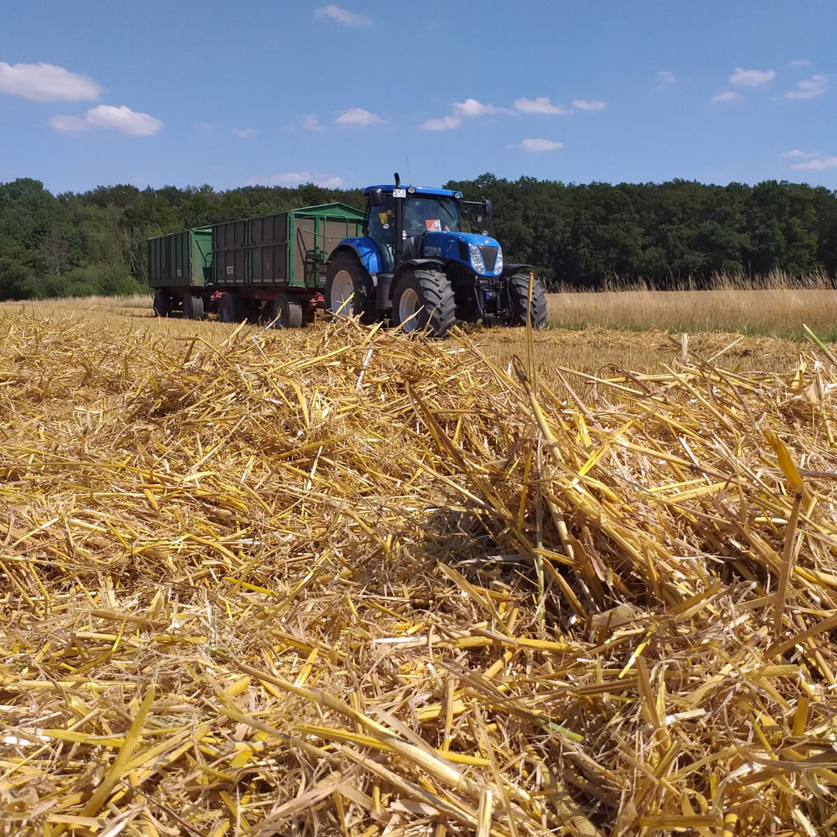 Finkenbrink_Ackerbau_Triticale_Gerste_01