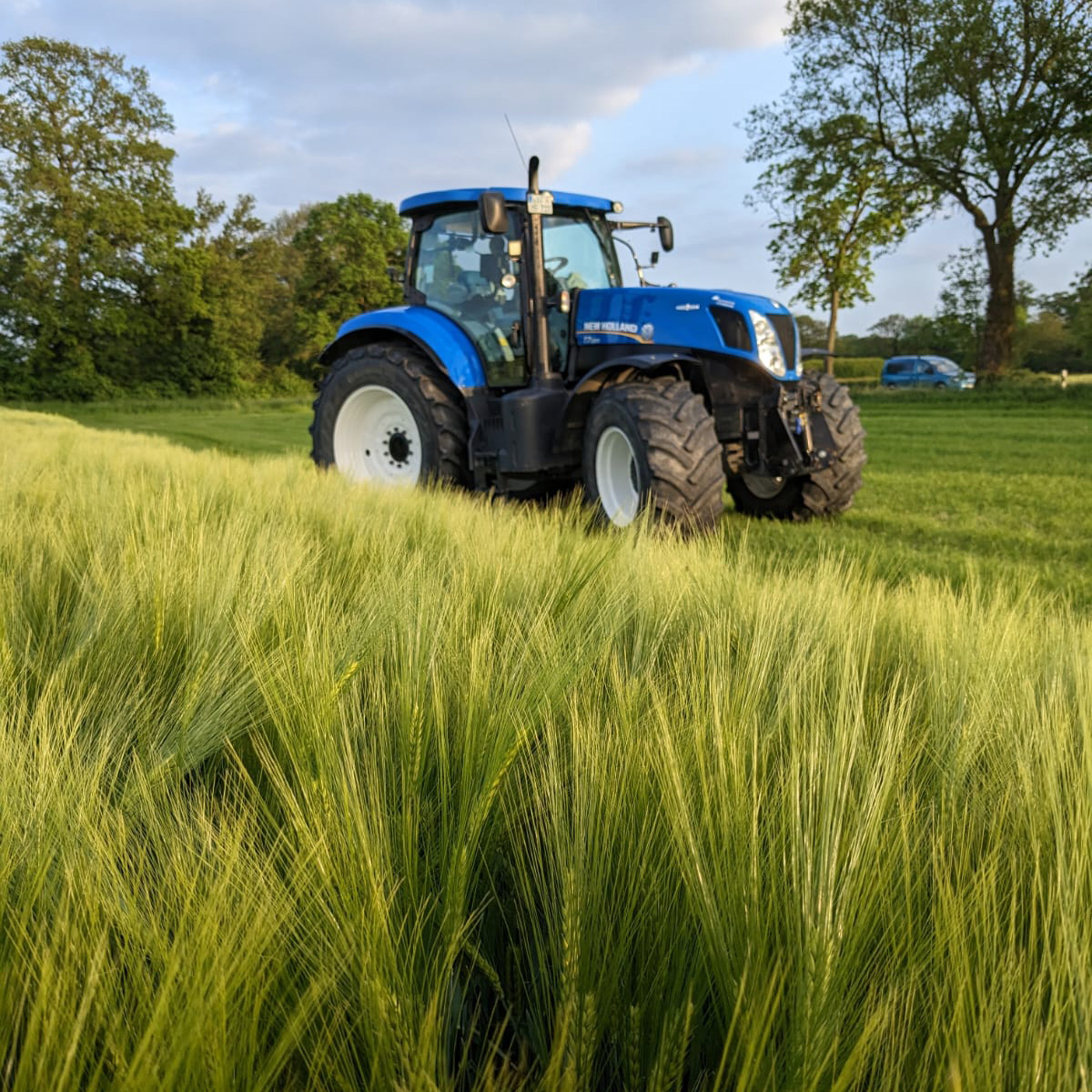 Finkenbrink_Ackerbau_Triticale_Gerste_01